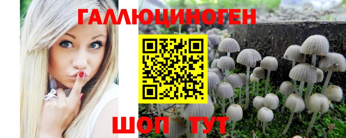 Галлюциногенные грибы MAGIC MUSHROOMS Зеленогорск