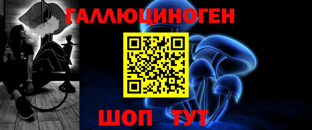 как найти   Вход с VPN  Зеленогорск  Псилоцибиновые грибы Cubensis  Псилоцибиновые грибы Psilocybe 